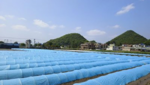桐梓县政府门户网站通知公告_桐梓县人民政府网站招聘