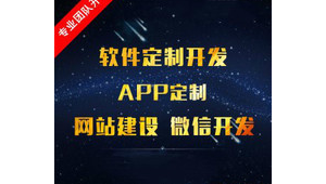 昆明软件开发制作（昆明app软件专业开发公司）