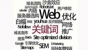seo推广软件黑帽白帽区别（seo黑帽怎么赚钱）