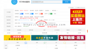 单页站群破解版