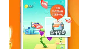 搞网站app软件