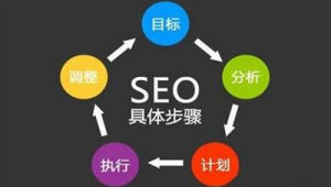 秒收录软件seo 推广