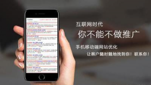 移动端 seo_seo手机优化软件哪个好用