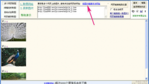 网站自动保存软件有哪些（浏览器自动保存网页）