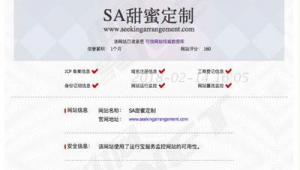 网站资质软件：助力企业高效获取资质，开启互联网合规新征程