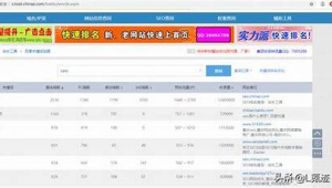 seo上排名（seo排名啥意思）