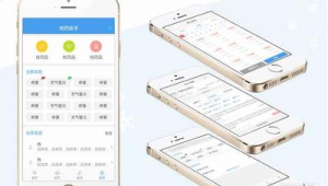 记账网站源码（自制记账软件）