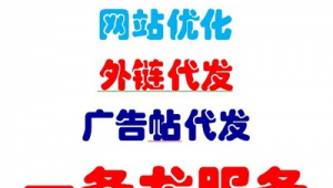 站群服务器搭建代理（建站代理）
