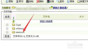 网站备份 电脑软件