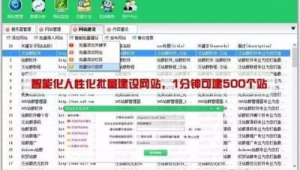 365站群系统有风险吗_365站群收录好麻