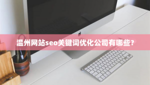 温州网站优化有哪些方面的公司_温州网站优化效果