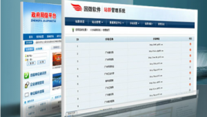 站群系统（什么叫站群系统）