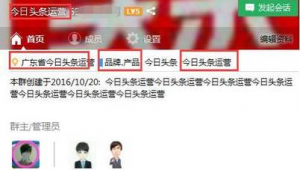 巅峰qq群排名优化软件有哪些（qq群排名优化符号）