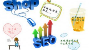 关键词优化 seo_seo关键词优化举例