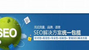 山东seo公司是什么公司_seoyon公司