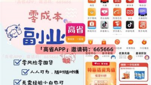 seo赚钱软件是真的吗（seo赚钱方法大揭秘）