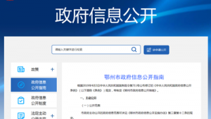 亚麻色长裤搭配什么上衣_我做的不好的事情