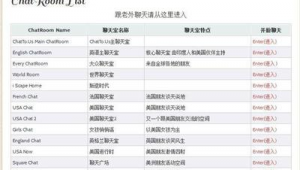 网站翻译聊天软件哪个好（网站在线翻译软件）