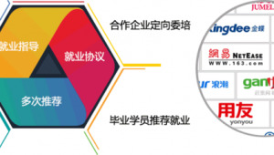 seo公司招聘（seo程序员招聘）
