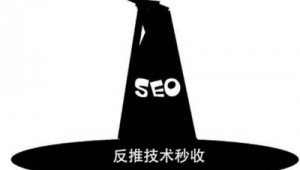 网站快速收录软件（seo收录工具）