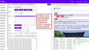 鑫光芒代理（鑫光芒为什么这么火）