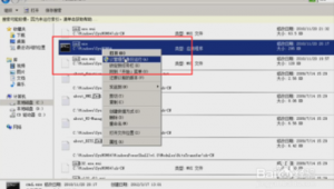 镜像网站 站群模式