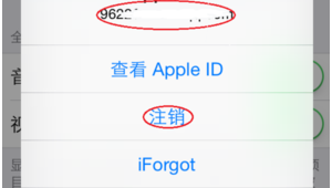 苹果4s免费软件网站有哪些（苹果4s站免费下载app）
