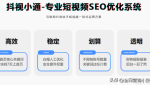 权重优化软件是什么（权重优化是什么）