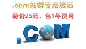 com 站群域名 注册