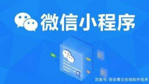 西安网站制作软件（西安做网站的网络公司）