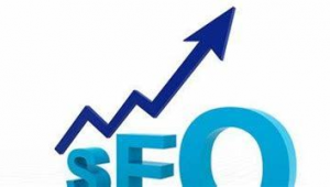随州网站优化公司（seo专业优化公司）