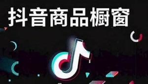 武汉抖音seo软件公司（抖音seo公司）