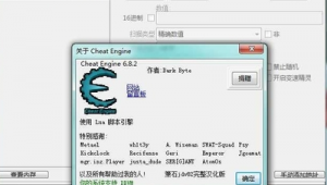 网站 软件汉化
