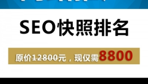 什么是seo推广快照软件_seo推广效果怎么样