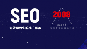合肥网站优化搜索（合肥seo外包平台）