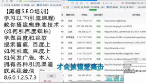 黑帽seo金苹果软件一