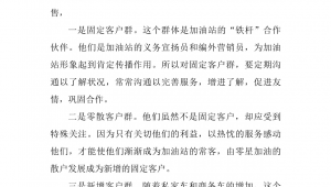 加油站客户群分析表模板（加油站客户分析报告）