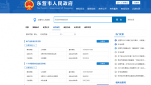 东营网站建设哪家更好_网络优化资质