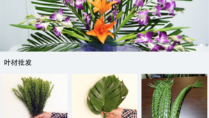 插花软件网站有哪些（关于插花的软件）