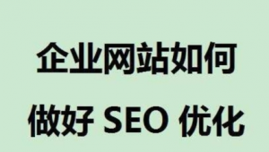 seo对网站进行什么优化_seo可以为企业和网站带来的价值包括