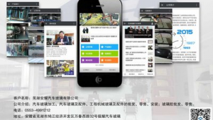 芜湖网站制作公司（芜湖十大网络公司）