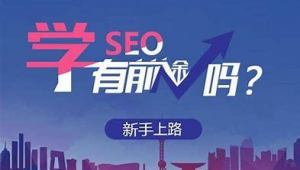河南整站关键词排名优化软件（河南seo推荐）