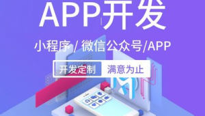 南京定制网站软件有哪些（南京定制网站建设）