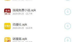 大白软件分享下载最新版本（大白软件7.0）