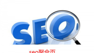 seo问答聚合软件怎么样（seo问答推广机构）