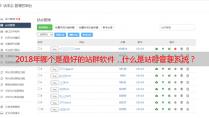 做什么站群赚钱（站群排名）