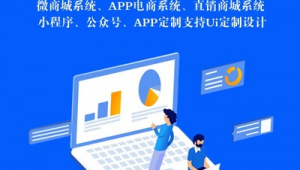 软件分销网站：打造软件销售新渠道