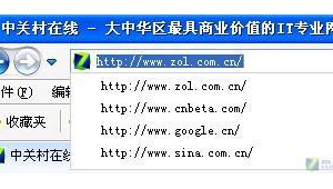 软件改成网站怎么改(软件变成网址)