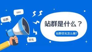 站群盈利模式（什么是站群模式）