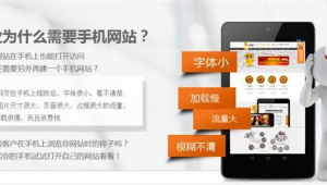 付费的网站(付费网站是真的吗)